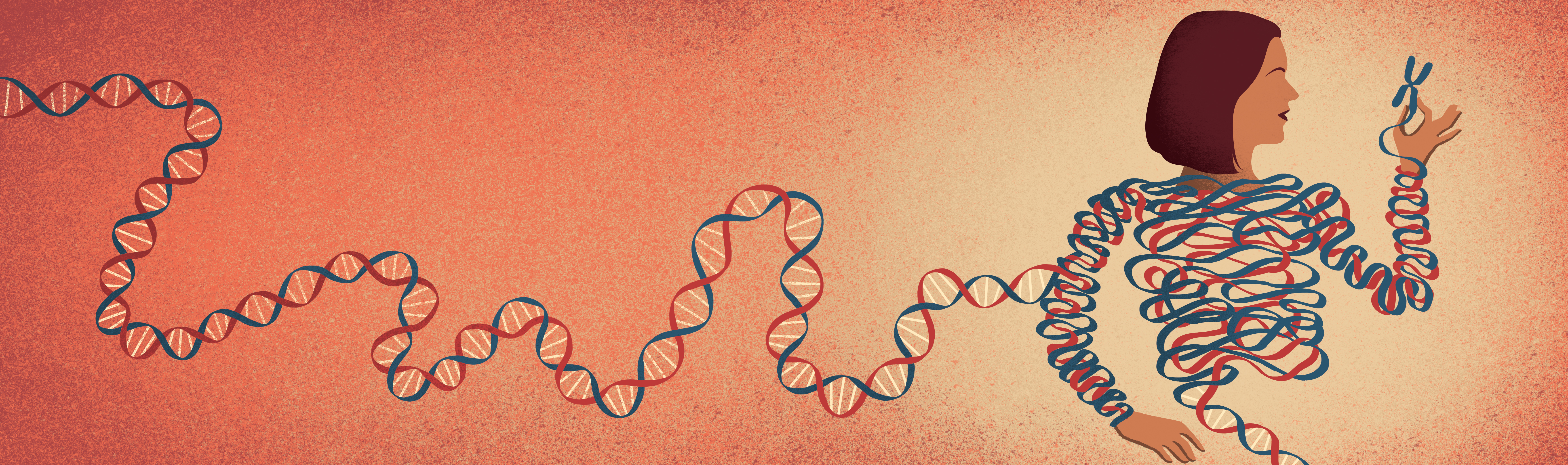 Chromosomes and Gene Expression