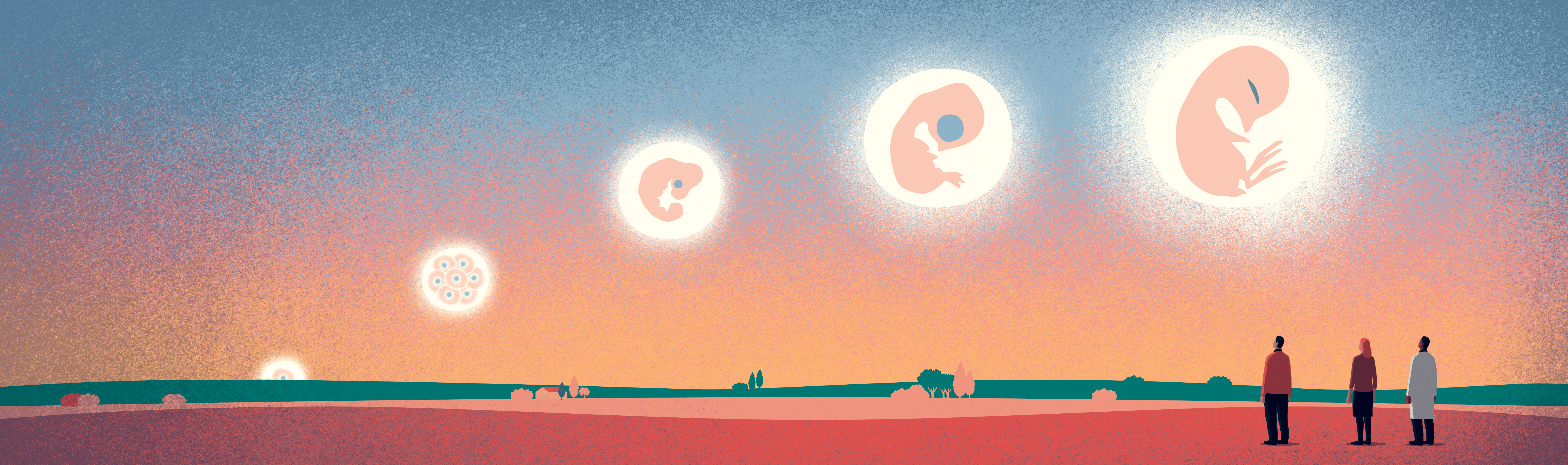 Developmental Biology