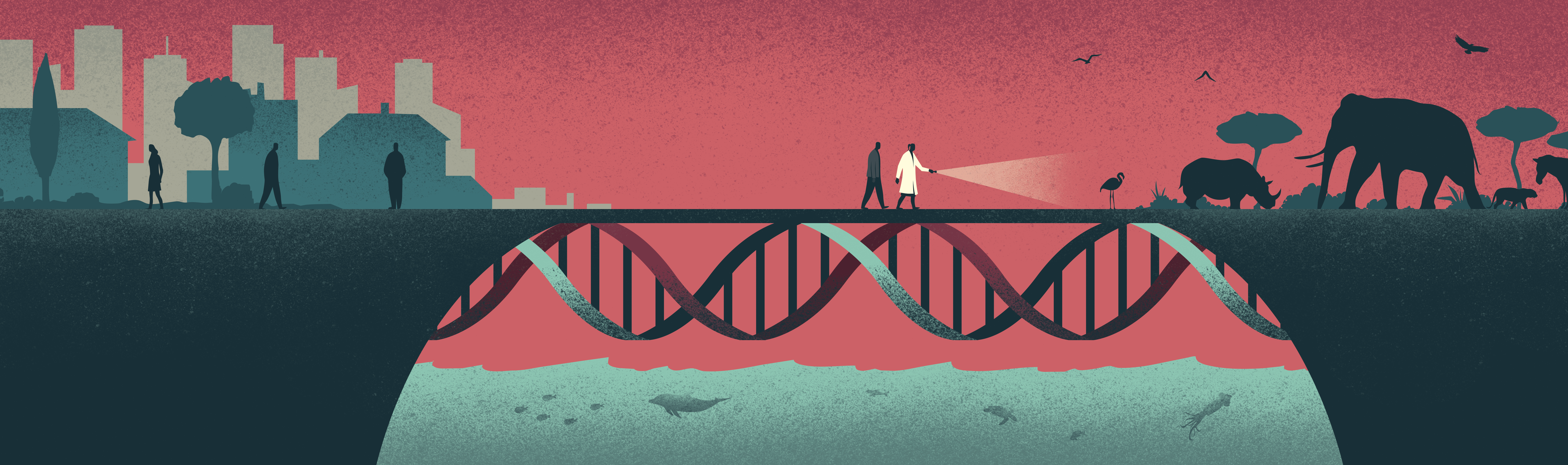 Genetics and Genomics