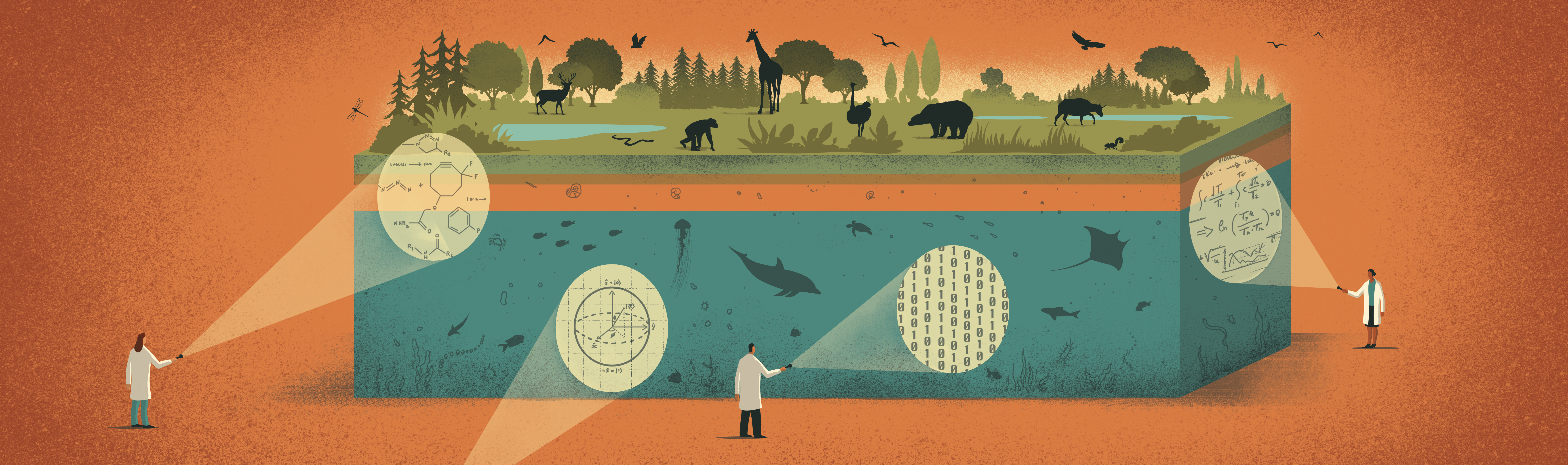 Physics of Living Systems